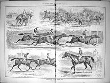 Vecchio Danneggiato 1884