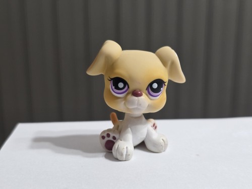 Hasbro littlest pet - shop, lps