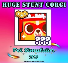ENORME STUNT CORGI - Pet