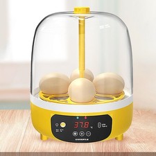 Incubatrice uova pollame - di,