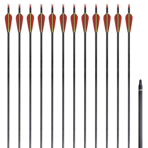 12x frecce per - frecce, archi