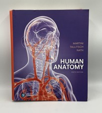 Human anatomy martini - anatomy,