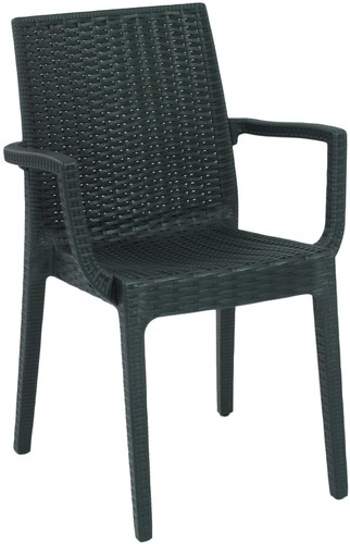 Poltrona sedia resina dafne - poltrona,