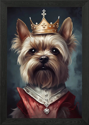 Yorkshire terrier cane - yorkshire,