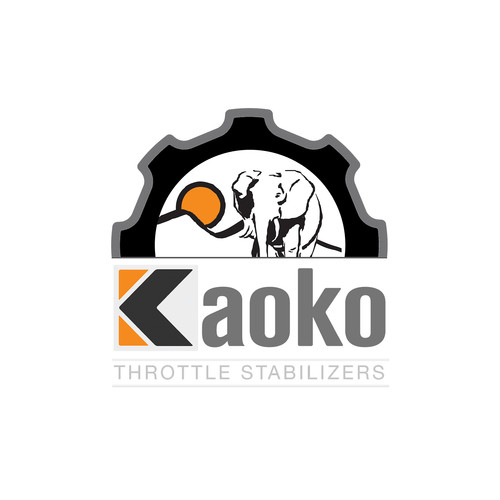 Stabilizzatori acceleratore - stabilizzatori,