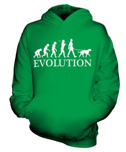 Scozzese levriero evolution - scozzese,
