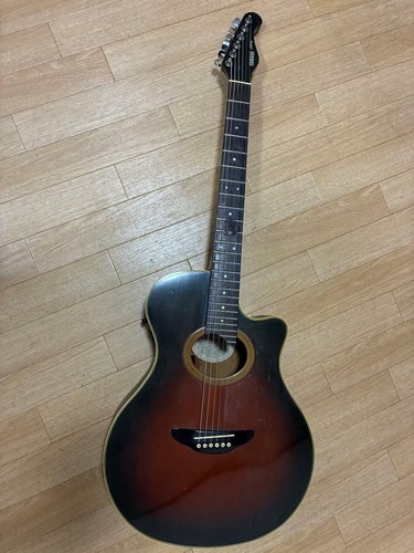 Chitarra elettrica acustica