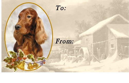 Etichette natalizie setter