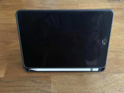 Ipad mini con apple - mini, 5