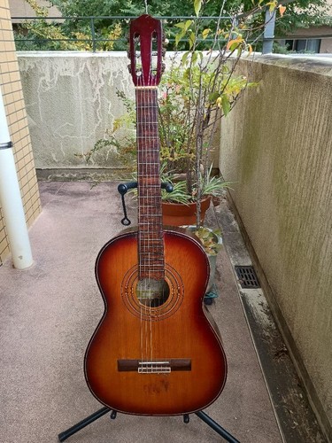 Calace/n.36/Chitarra