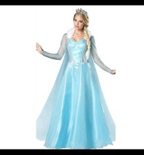 Bookweek Costume Donna Frozen