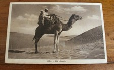 29° AOI ERITREA POSTA MILITARE PM 302 1940 LIBIA NEL DESERTO