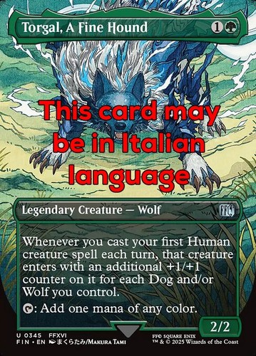 Mtg torgal fine - torgal,, a