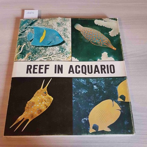 Reef acquario informazioni - acquario,