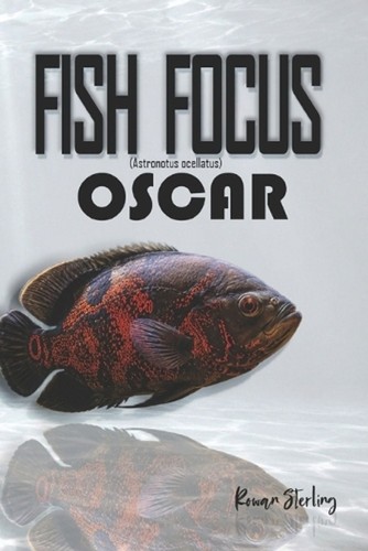 Fish focus oscar - oscar, (astronotus