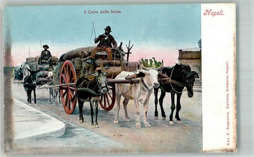 14006059 napoli il carrro - il,