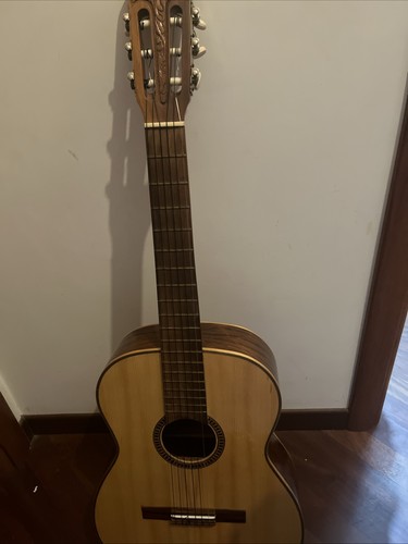 Chitarra giannini awn - chitarra,