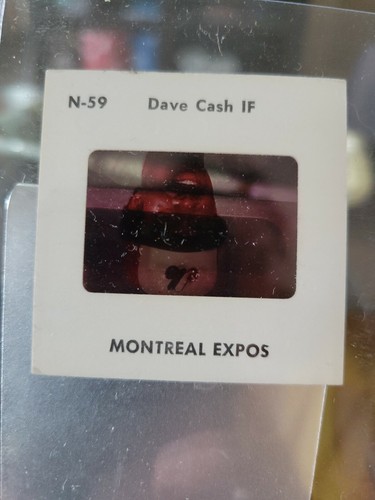 1977 montreal expos giocatori - montreal,