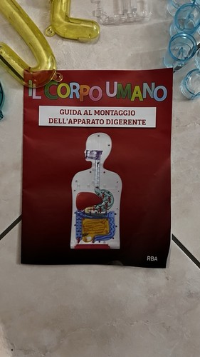Divertiti scopri corpo - scopri,