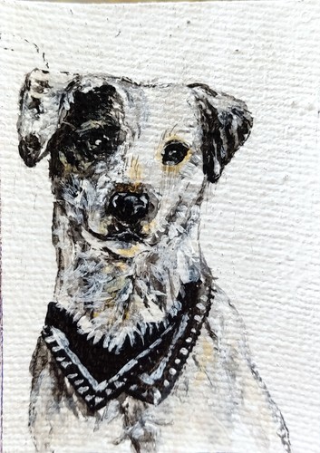 Quadro cane aceo originale - aceo,