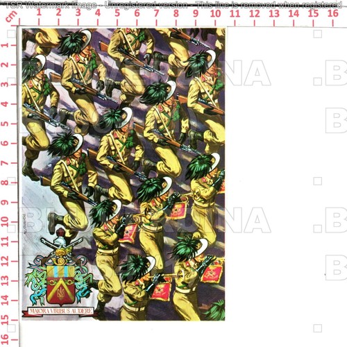 B2664 militare bersaglieri - b2664, 3