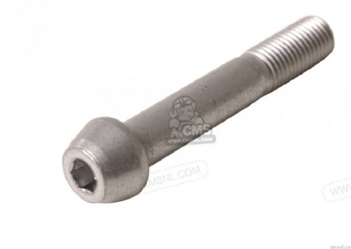 Bullone pinza freno suzuki - pinza,