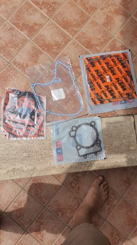 Kit guarnizioni duke - duke, testa