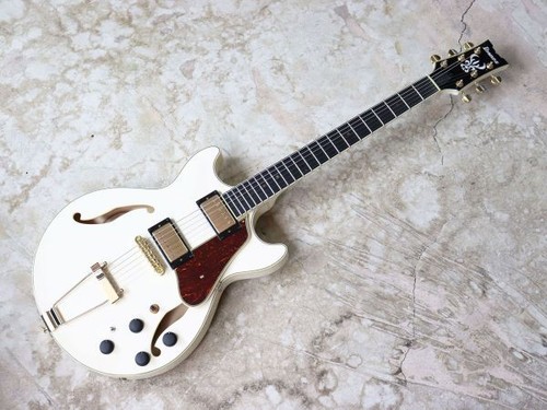 Chitarra elettrica ibanez - chitarra,