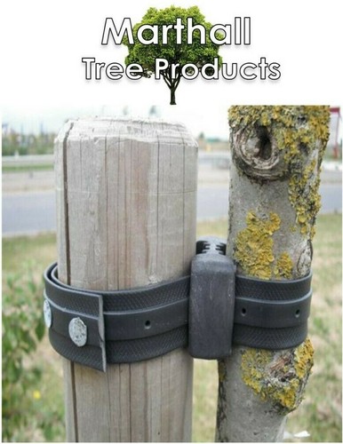 Blocco albero gomma - blocco,