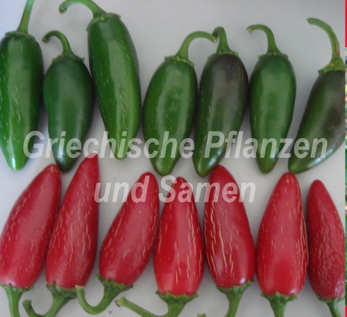 Peperoncino - 🔥, 🌶️
