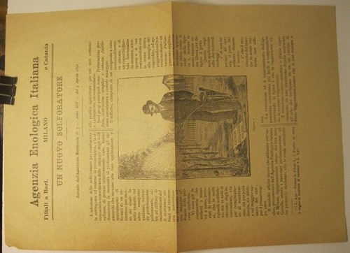 Anonimo agenzia enologica - anonimo,,