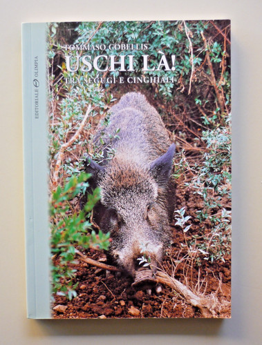 Uschi là tra segugi - uschi,