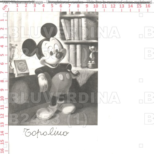 B2453 foto cartolina topolino - cartolina,