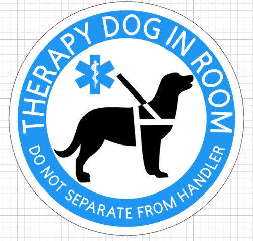 Cane terapia camera non - cane,