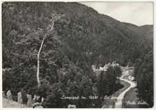 CAMPIGNA - FORLI' - LA FORESTA