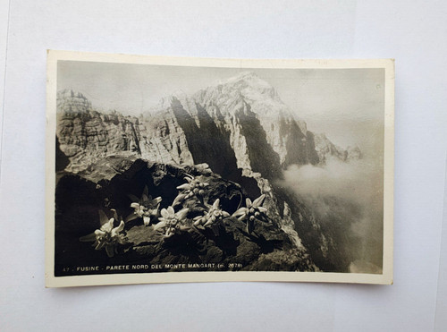 Fusine monte mangart - mangart, parete