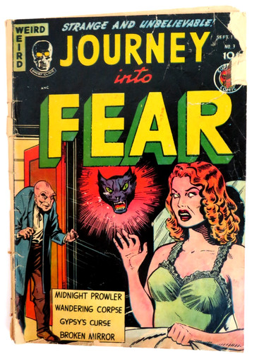 Journey into fear - fear, (superior