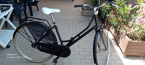 Bici tipo olandese - bici, da