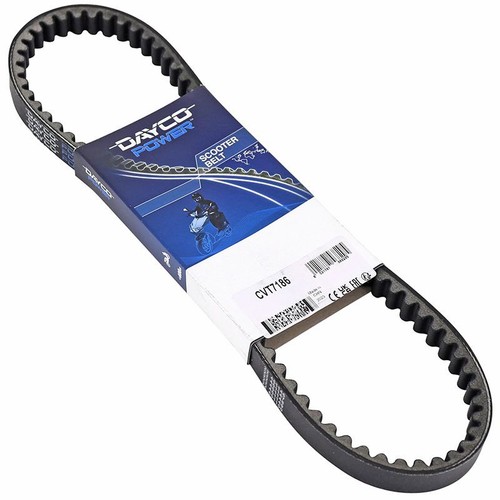 Cinghia trasmissione dayco - di,
