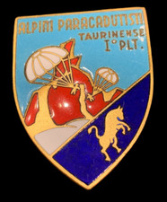 Raro distintivo del 1°