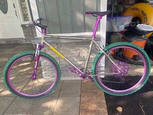 Litespeed titanium resto mod