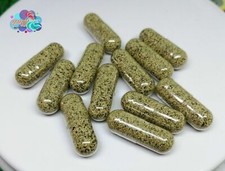 MOINA MACROCOPA UOVA (PULCI