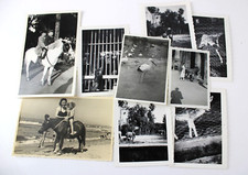 Lotto 9 foto d'epoca Animali Asino Scimmia Pony Bianco e Nero Fotografie Varie