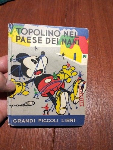 Piccolo libro topolino nel - piccolo,