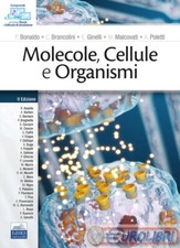 9788836231010 BONALDO