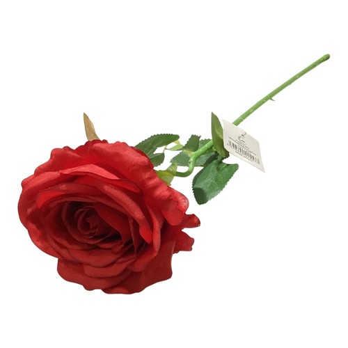 Carnevale halloween rosa rossa - carnevale,