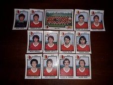 PANINI FIGURINES Bari