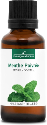 Menta piperita mentha - menta,