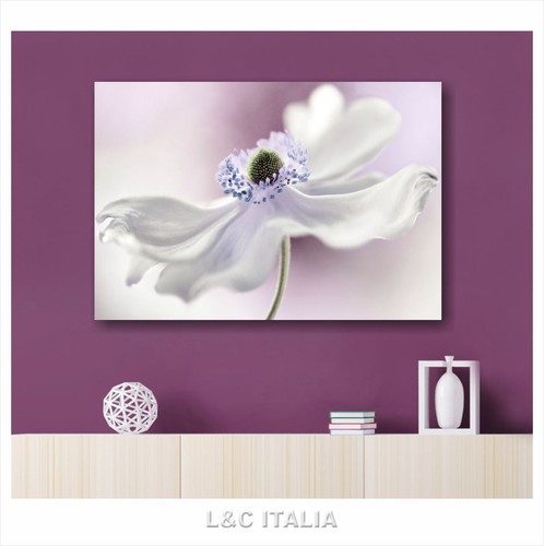 Fiori vintage quadro stampa - quadro,