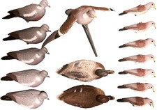 Lotto di 15 stampi da caccia